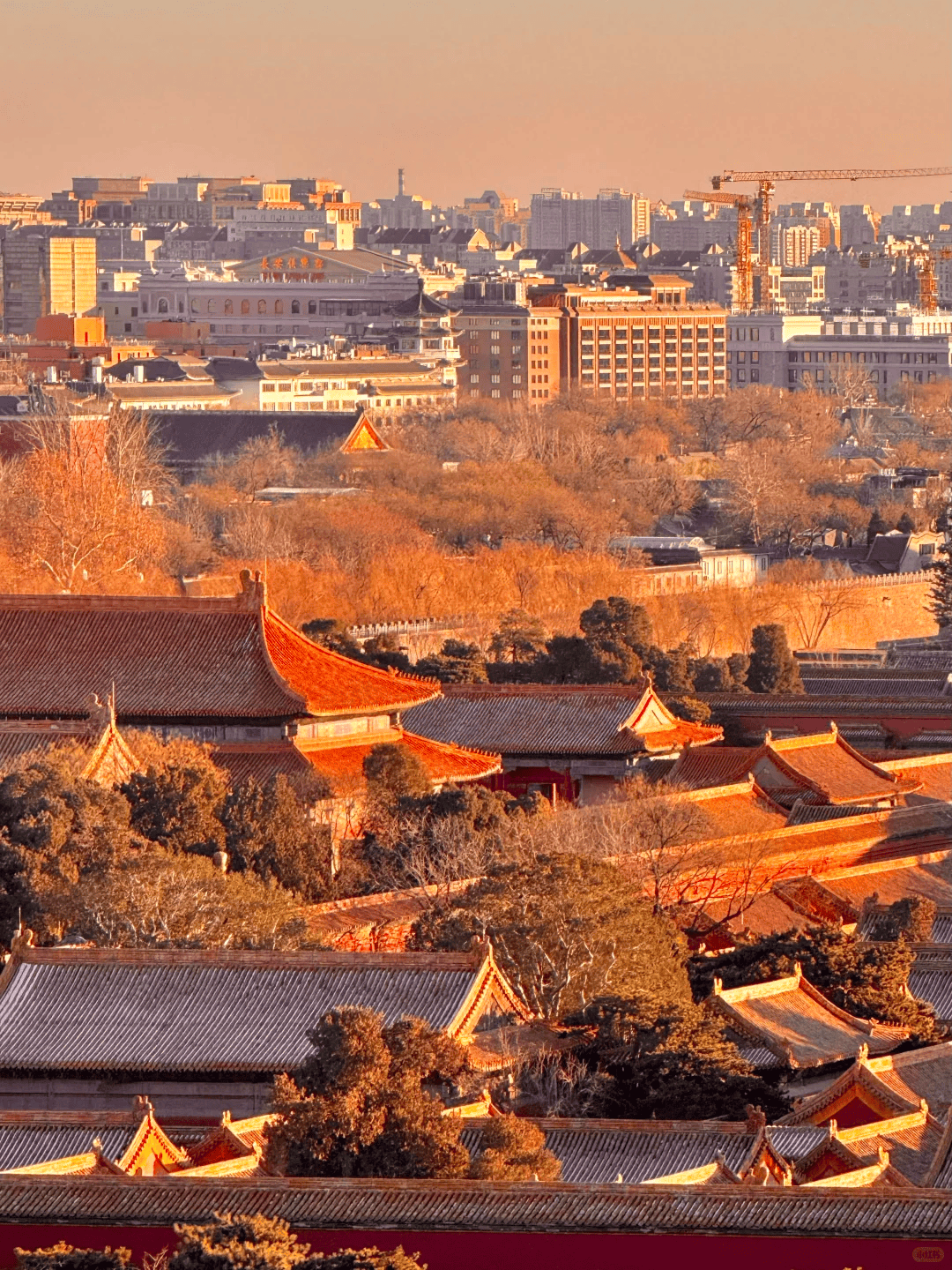 社挖到宝！让咱们带娃的旅行轻松又愉快J9数字平台北京靠谱的私