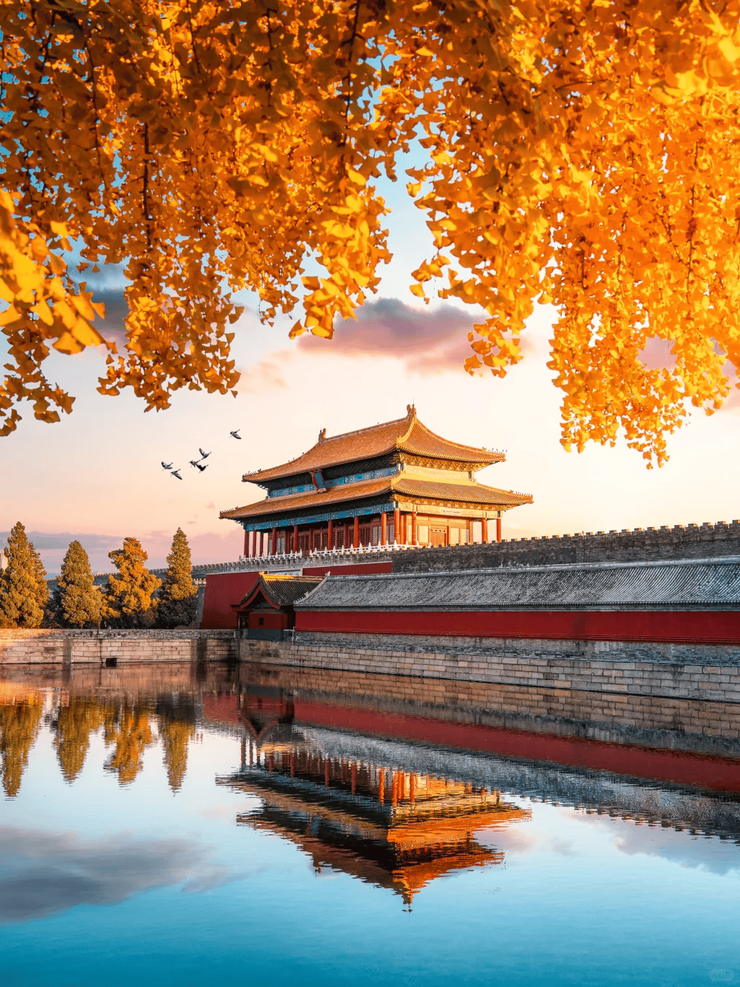 社挖到宝！让咱们带娃的旅行轻松又愉快J9数字平台北京靠谱的私人订制旅行(图2)