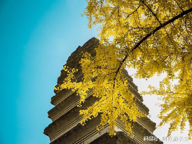 端定制游：为每一程量身打造完美旅途九游会j9入口登录新版陕西逍遥高(图2)