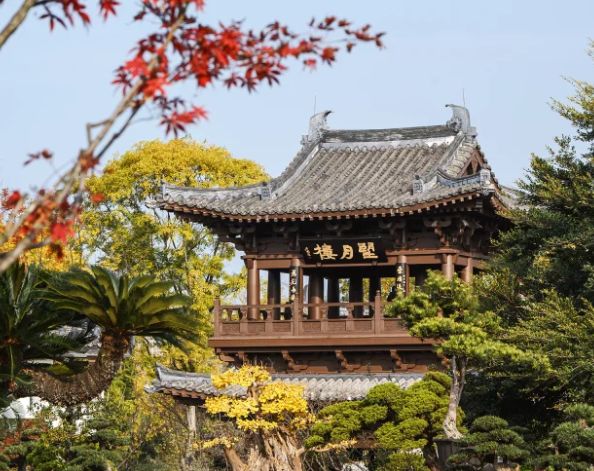 p10：远胜游居首从行业认证到服务支撑九游会网址是多少2025成都旅行社To(图3)