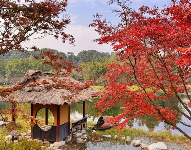 p10：远胜游居首从行业认证到服务支撑九游会网址是多少2025成都旅行社To(图5)