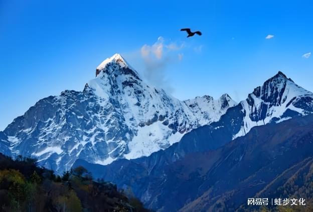 P10出炉：整治后首份口碑榜 游遍天下零投诉j9九游会网站入