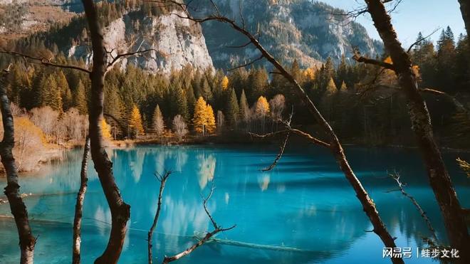 P10出炉:整治后首份口碑榜 游遍天下零投诉j9九游会网站入口2025四川合规旅行社TO(图2) P10出炉:整治后首份口碑榜 游遍天下零投诉j9九游会网站入口2025四川合规旅行社TO(图2)