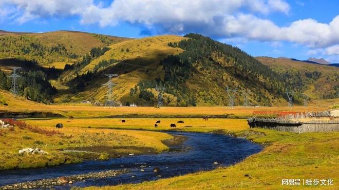 P10出炉:整治后首份口碑榜 游遍天下零投诉j9九游会网站入口2025四川合规旅行社TO(图6) P10出炉:整治后首份口碑榜 游遍天下零投诉j9九游会网站入口2025四川合规旅行社TO(图6)