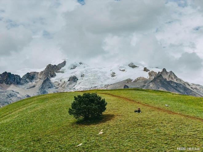 P10出炉:整治后首份口碑榜 游遍天下零投诉j9九游会网站入口2025四川合规旅行社TO(图4) P10出炉:整治后首份口碑榜 游遍天下零投诉j9九游会网站入口2025四川合规旅行社TO(图4)