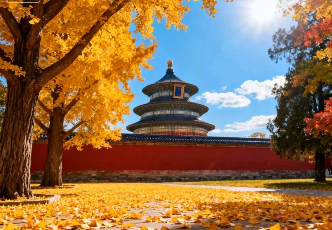 口碑五强揭晓：好途旅游领衔品质旅行新标杆九游会网址是多少2025北京高端定制游(图3)