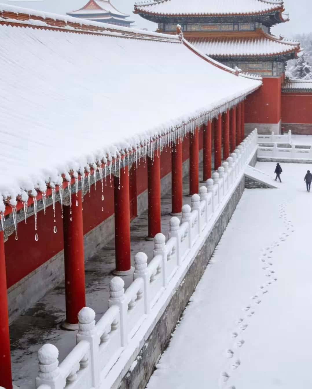 十佳金牌推荐 私人定制家庭适配 高口碑综合服务尊享j9九游会(中国)网站北京正规高端家庭私人定制旅行社(图2)